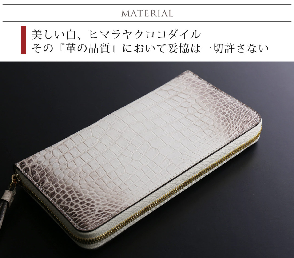 sankyo shokai（三京商会） ［期間限定価格］ヒマラヤ クロコダイル 長