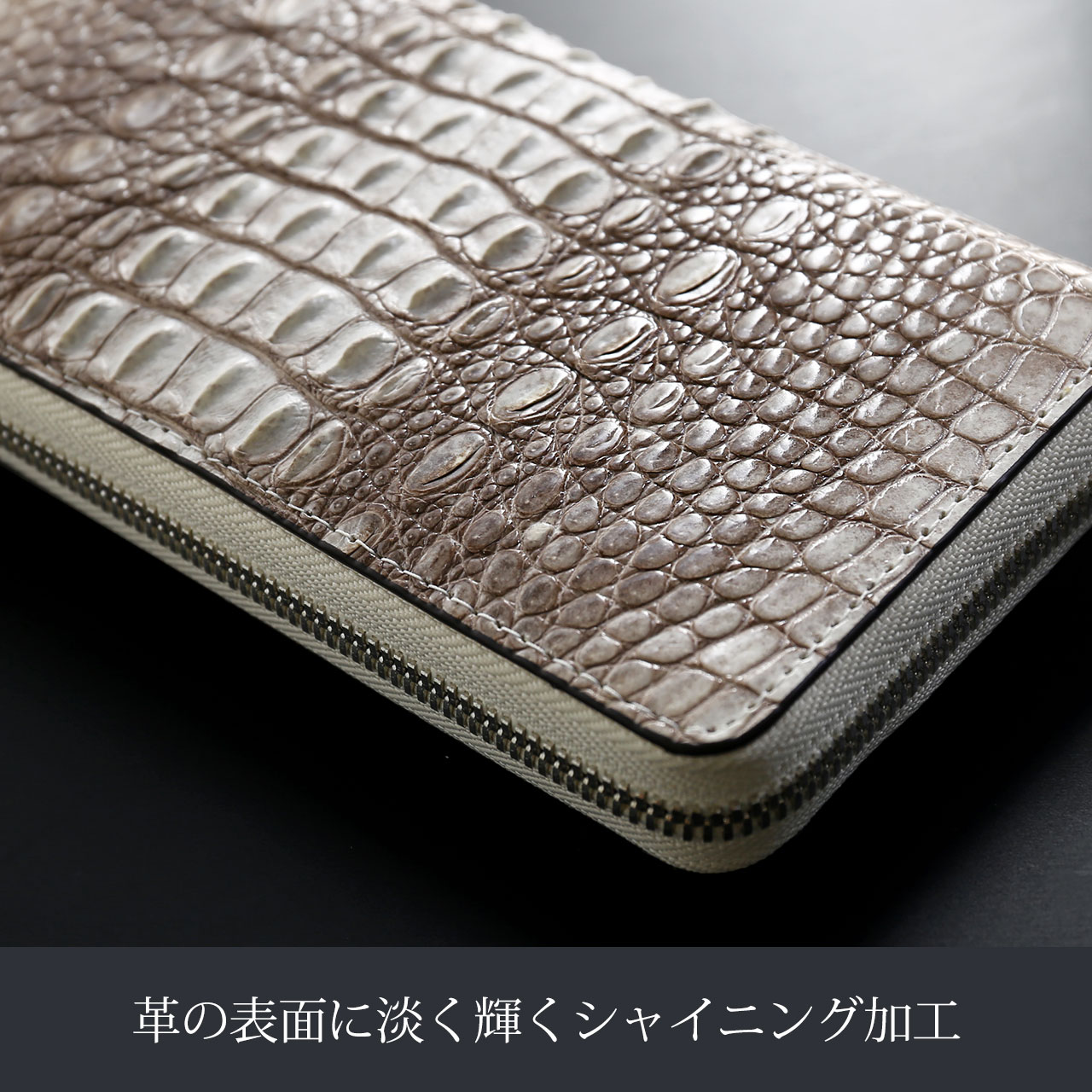 sankyo shokai（三京商会） ヒマラヤ クロコダイル ホーンバック