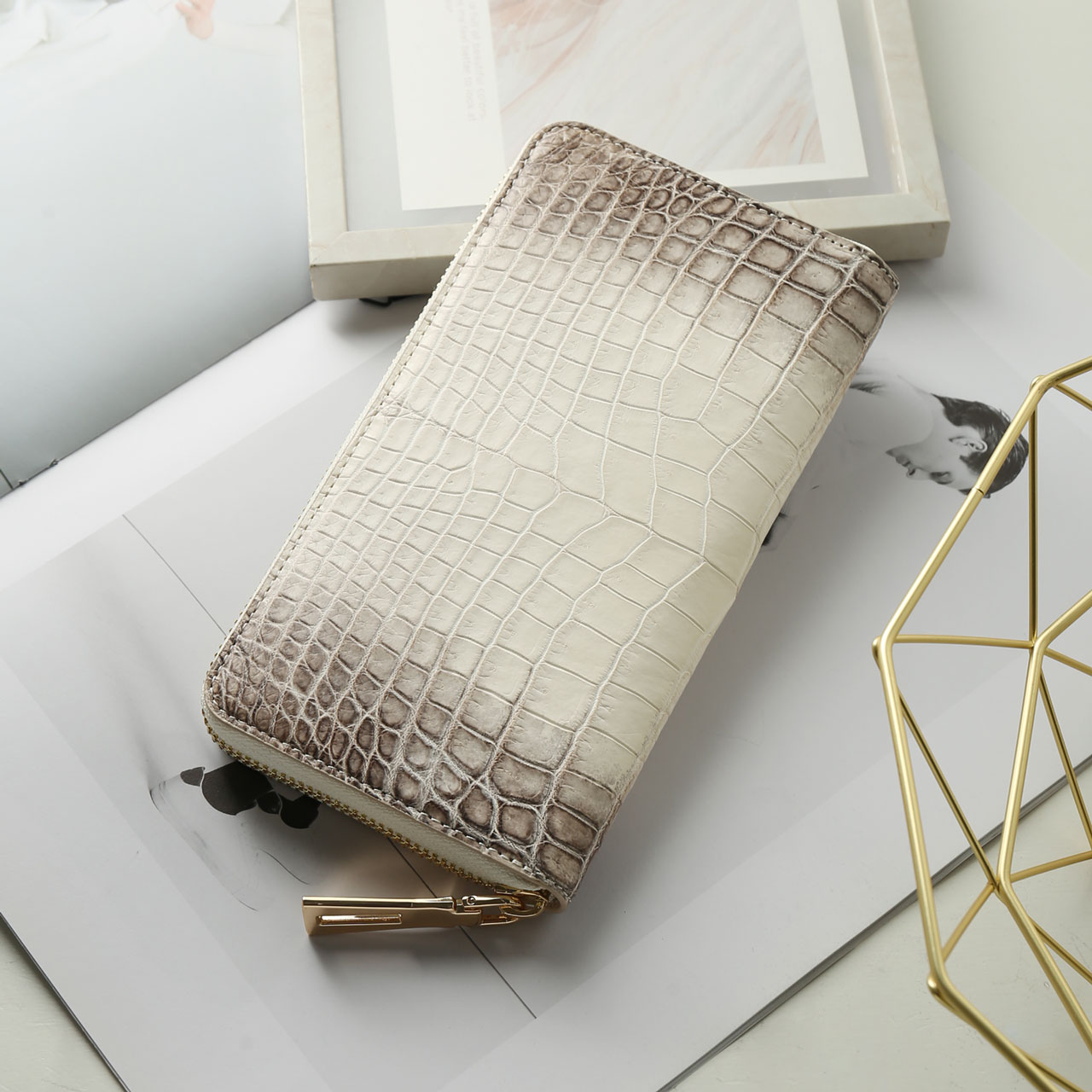 sankyo shokai（三京商会） [10%offクーポン]ヒマラヤクロコダイル