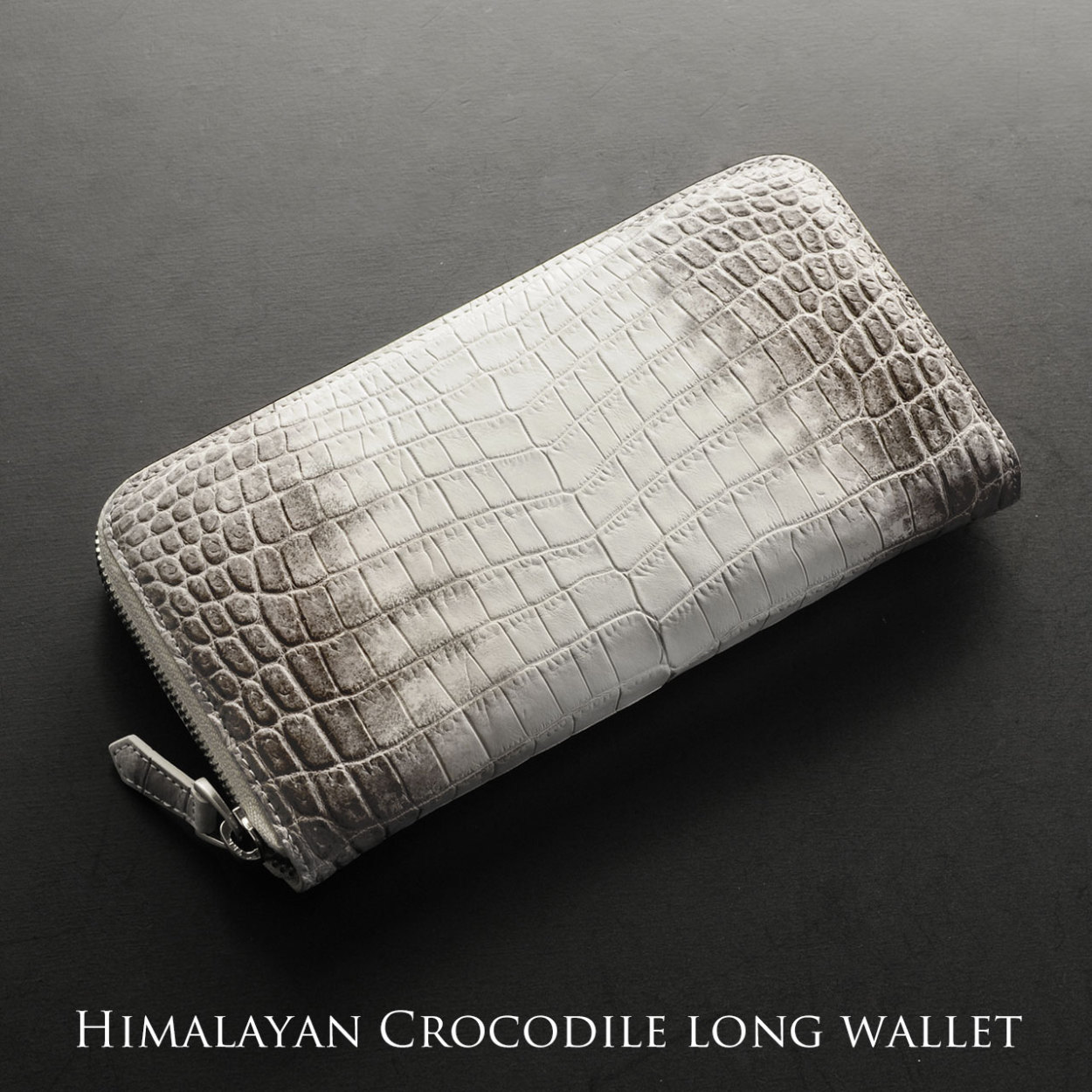 sankyo shokai（三京商会） [10%offクーポン]ヒマラヤクロコダイル 長