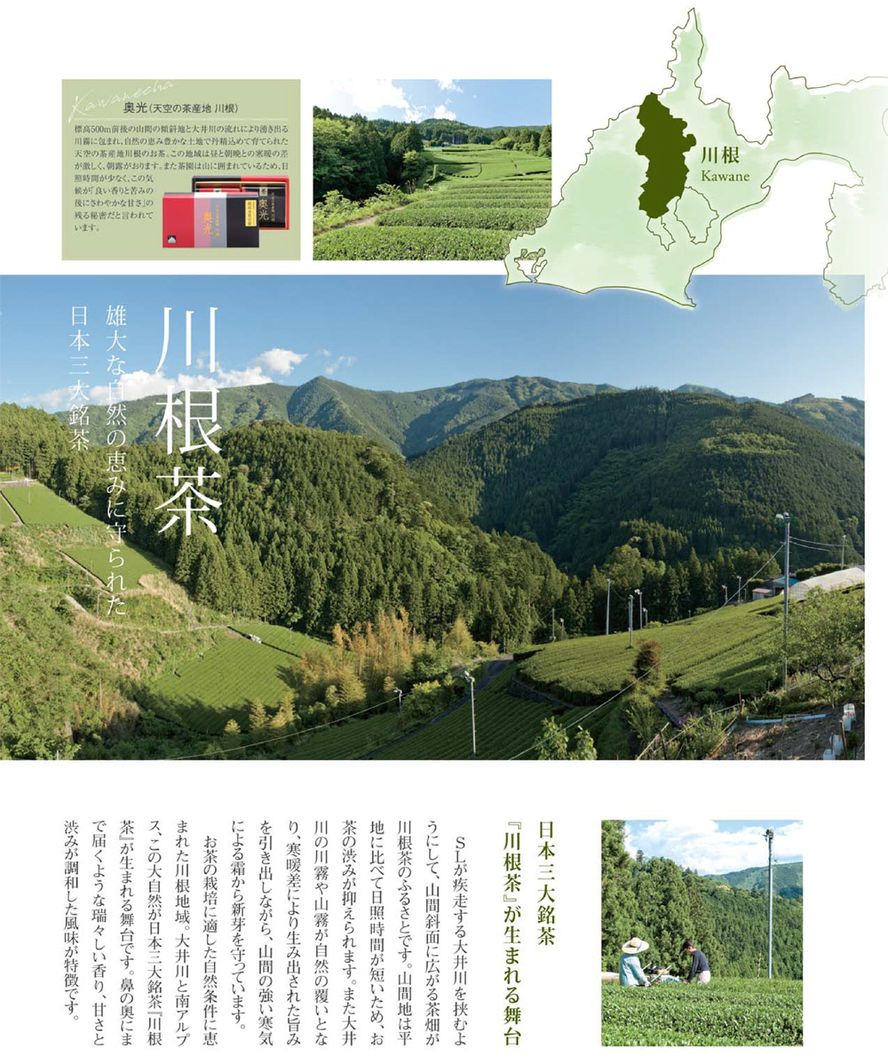 5個までネコポス対応可】【川根茶】しずく 100g袋入り : 大井川