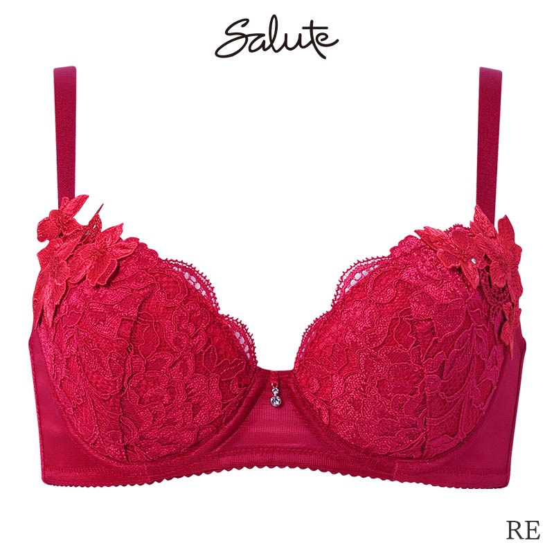 サルート（SALUTE） Salute 27グループ ワコール ブラジャー 3/4カップ