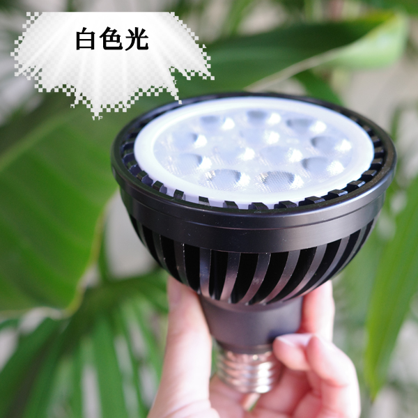 PLANTS NEXLIGHT 正規取扱店 ホワイト ブラック プランツ ネクスライト