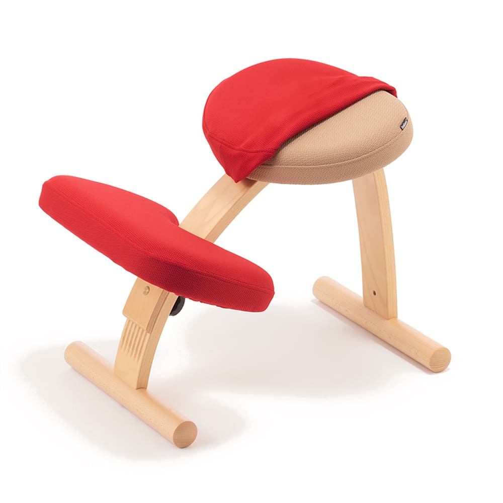 バランスラボ バランスチェア バランスチェアー バランスイージー