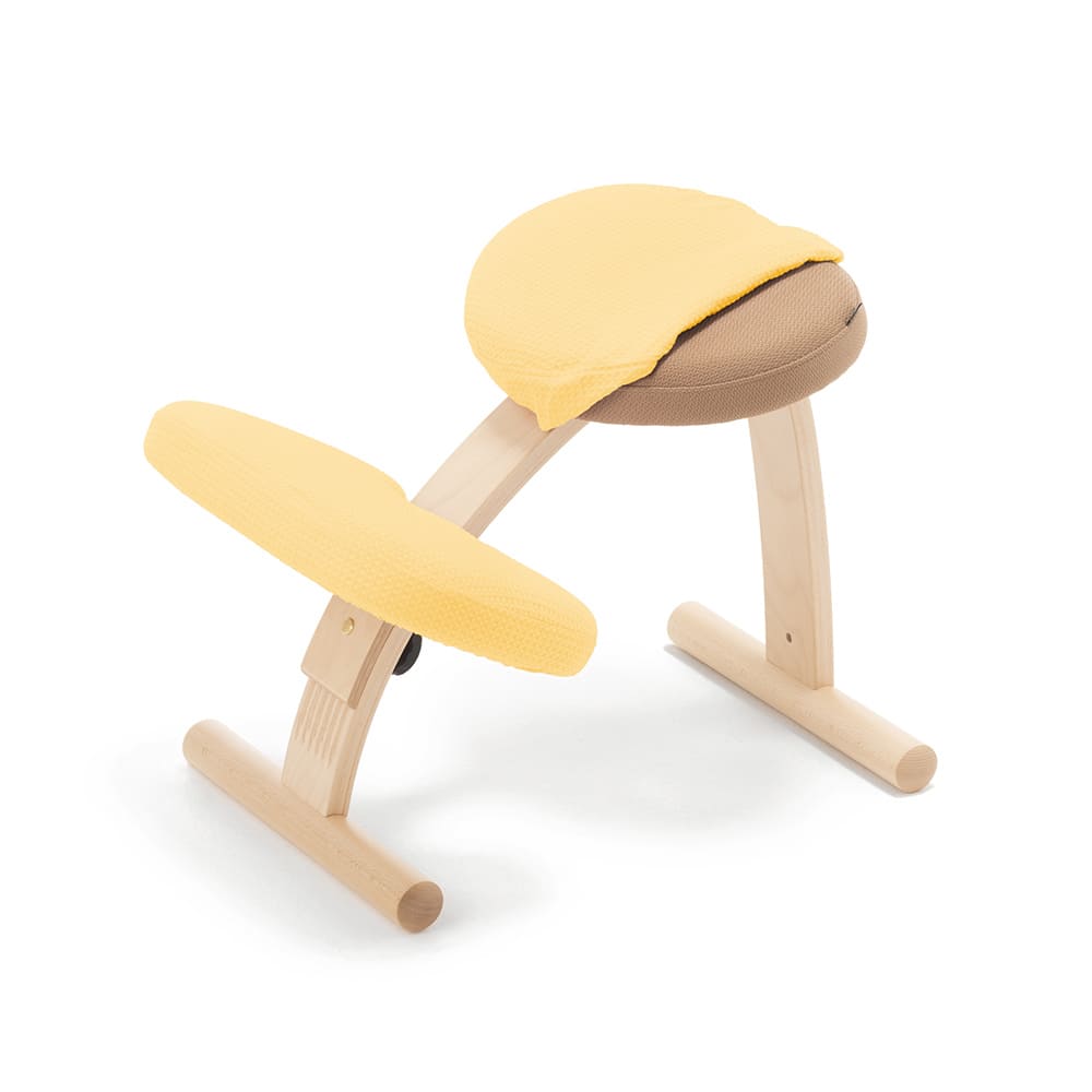 バランスラボ バランスチェア バランスチェアー バランスイージー