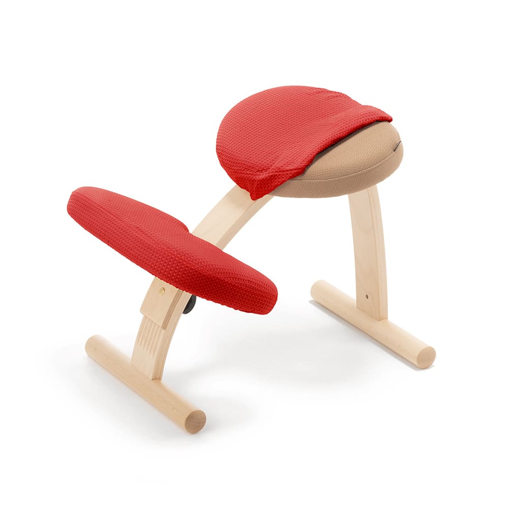 バランスラボ バランスチェア バランスチェアー バランスイージー