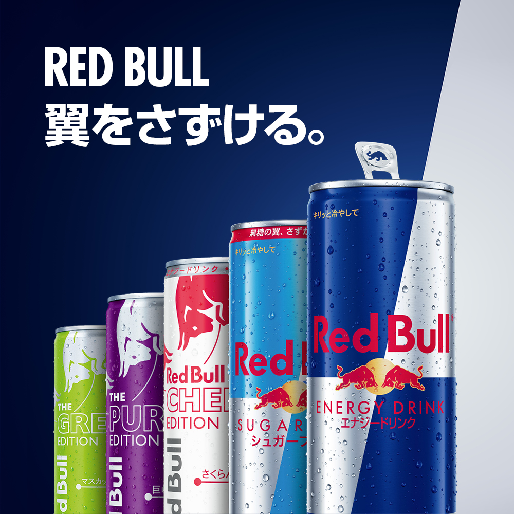 レッドブル（RedBull） ＼17%OFFクーポン対象 3/8まで／公式 エナジー