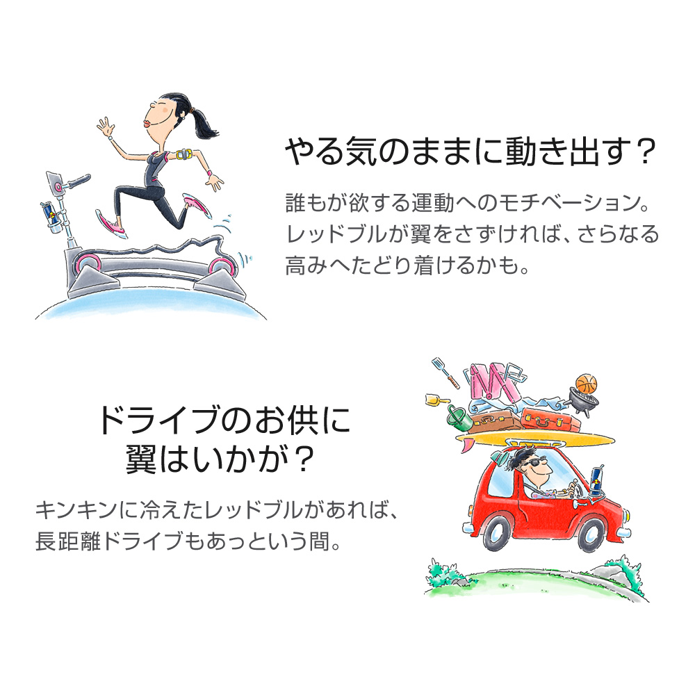 レッドブル（RedBull） ＼17%OFFクーポン対象 3/8まで／公式 エナジー