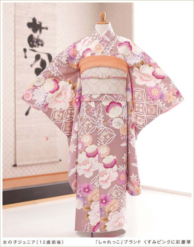 10歳〜13歳 子供振袖レンタル jk0209 女の子 ジュニア着物 十三参り