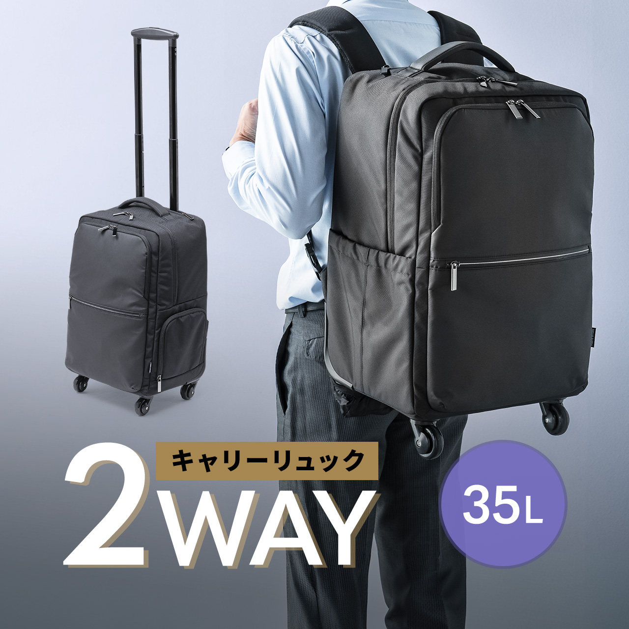 SANWA SUPPLY（サンワサプライ） リュック キャリーバッグ 機内