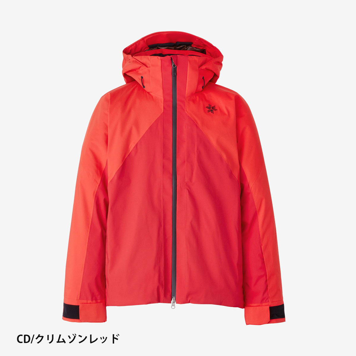 GOLDWIN（ゴールドウイン） スキーウェア メンズ スキージャケット