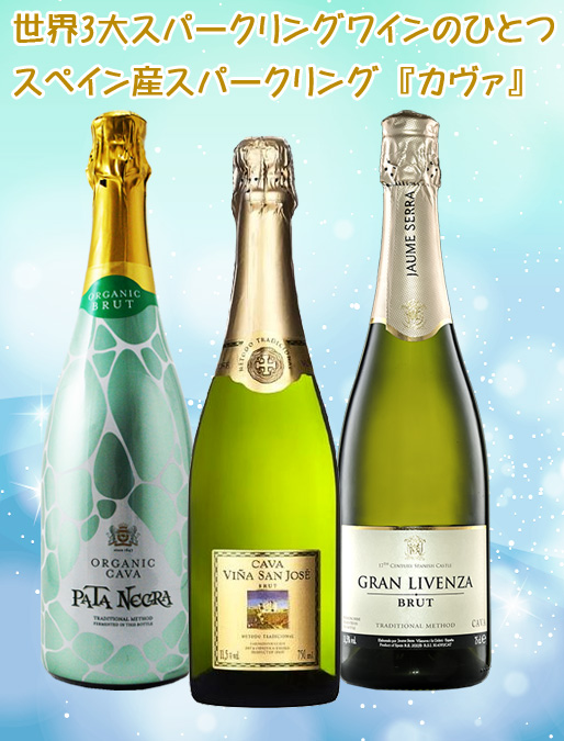 スペイン産スパークリングワイン カヴァ（カバ） 3本セット : ワイン