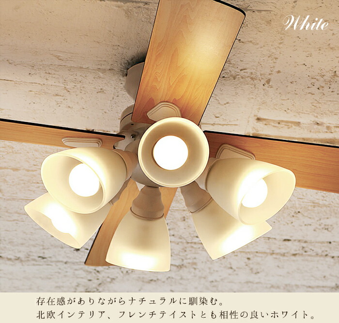 plus more 特典付 plusmore シーリングファン Windouble ウィンダブル