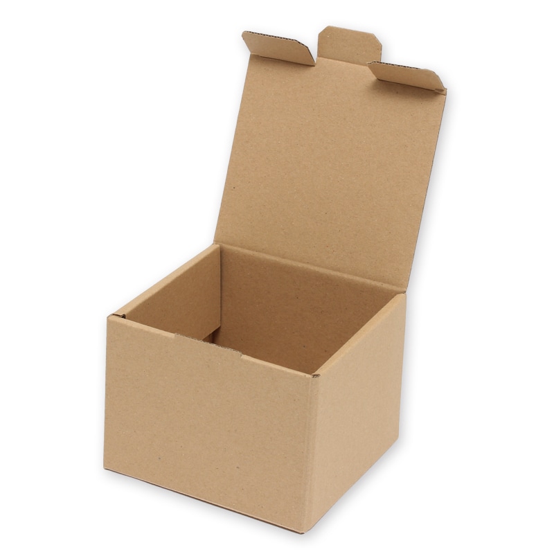 HEIKO 箱 ナチュラルボックス Z-20 プレート皿1枚用 10枚/袋 006202010