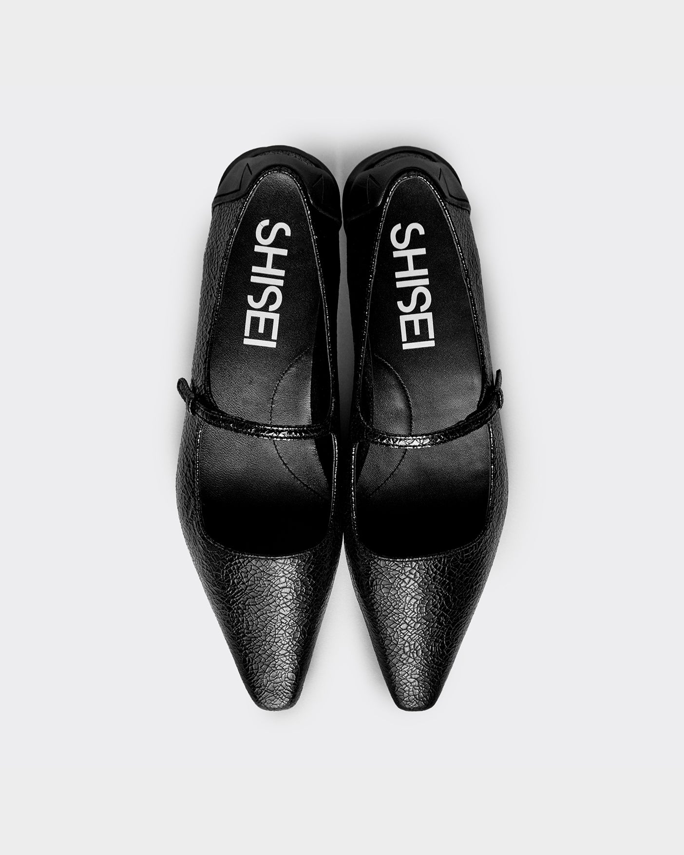 New Arrival – SHISEI