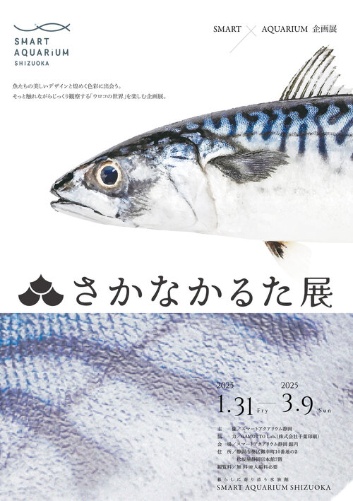 ウロコの凹凸まで特殊な印刷で再現した『さかなかるた』60種を拡大