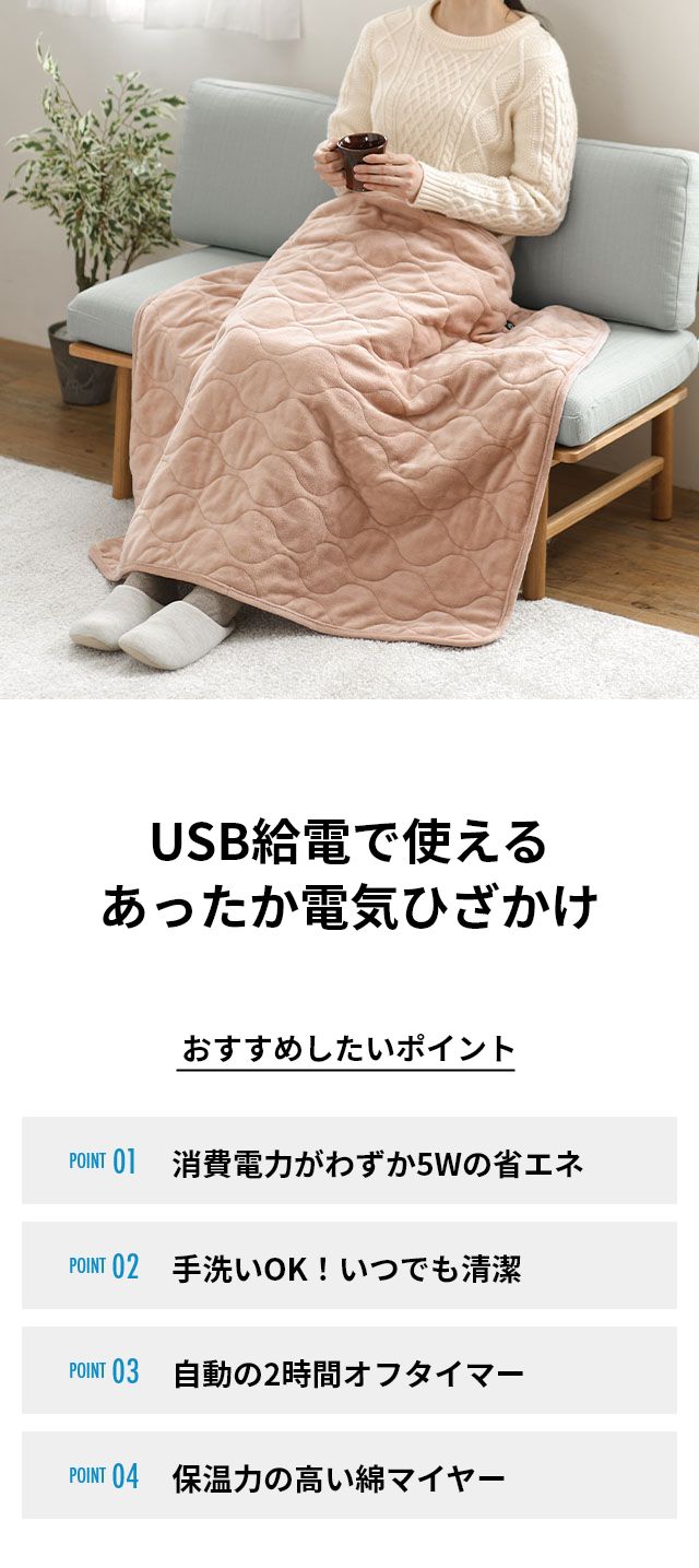 ゼンケン 電気ひざかけ 電気ひざかけ 低電力タイプ ZR-05LR 電気