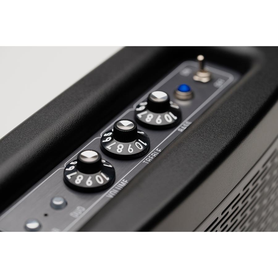 Fender Audio Bluetoothスピーカー Fender Newport 2 (フェンダー