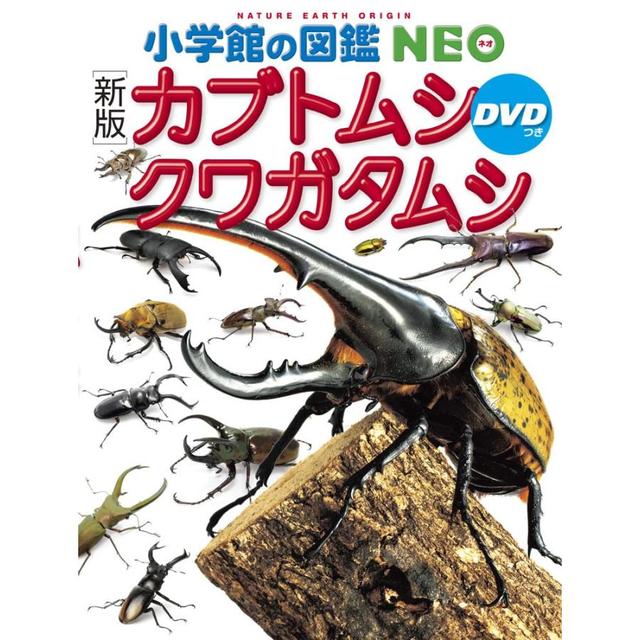 新版]カブトムシ・クワガタムシ DVDつき (小学館の図鑑NEO 16)』小池