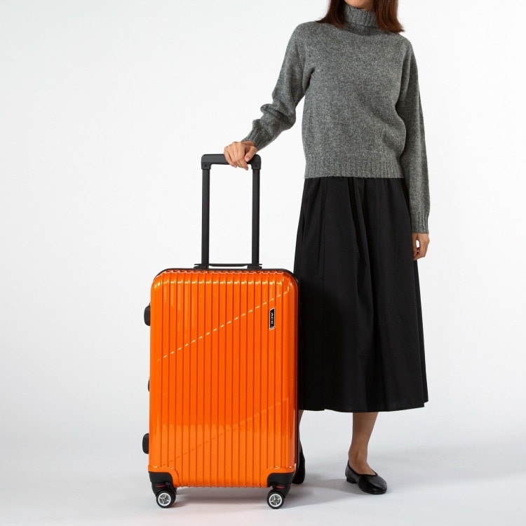 WEB限定】 ACE クレスタ スーツケース 64/70L エキスパンド機能 06317