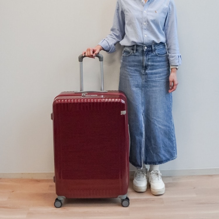 ace.／エース パリセイド3-Z 06915 スーツケース キャスターストッパー