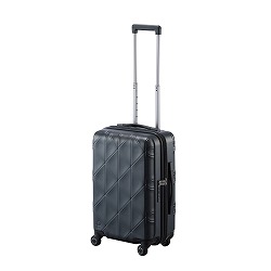 プロテカ機内持ち込みサイズ: ｜エース公式通販