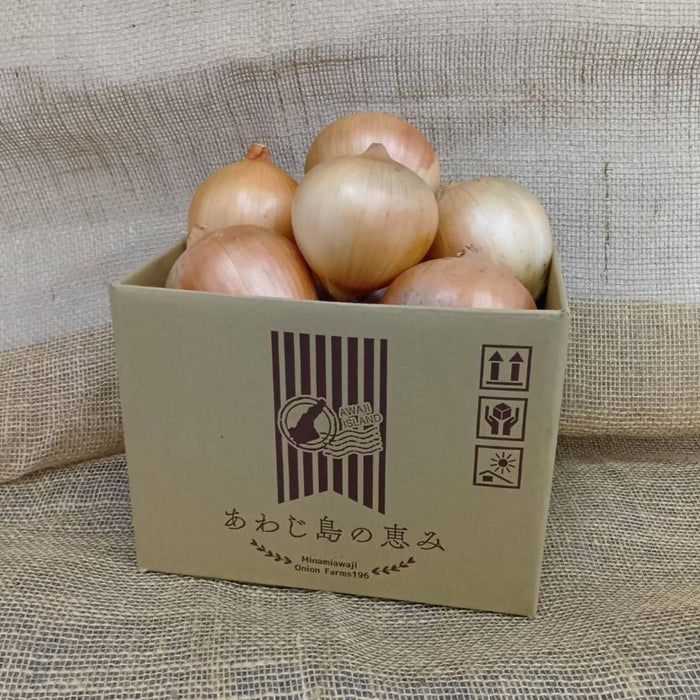 淡路島玉ねぎ “いくたま” Mサイズ 1.8kg【兵庫県淡路島産】農産物直売