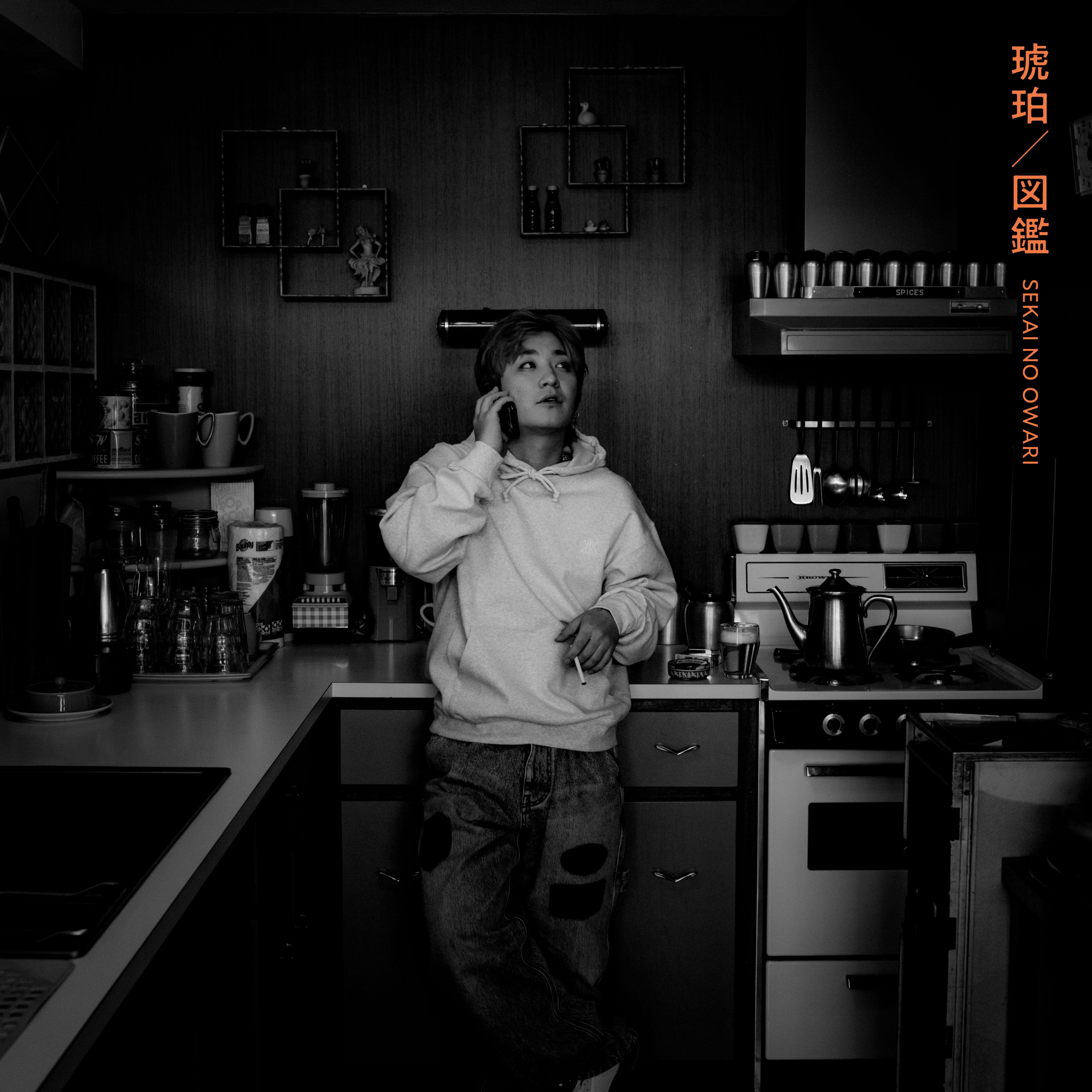 琥珀／図鑑 【通常盤A】【CD】 – SEKAI NO OWARI official store