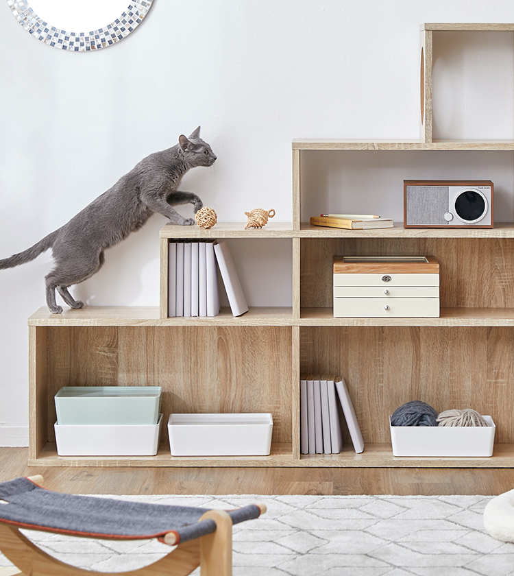猫家具でニャンダフルな暮らし | 【公式】LOWYA(ロウヤ) 家具