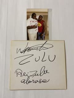 激レア希少品 レイズール親子 直筆サイン入り色紙 - メルカリ