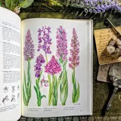 2026年最新】植物図鑑 洋書の人気アイテム - メルカリ