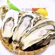 number(n)ine fuckyou mthrfckr サイズ2 - メルカリ