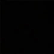 sunflower リンガーT サンフラワー ours 深水光太着用モデル - メルカリ