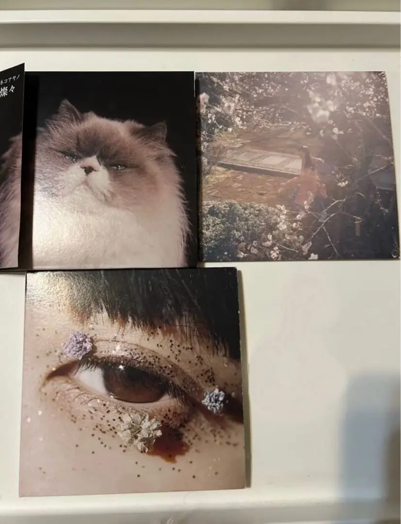 2026年最新】カネコアヤノ 燦々 レコードの人気アイテム - メルカリ