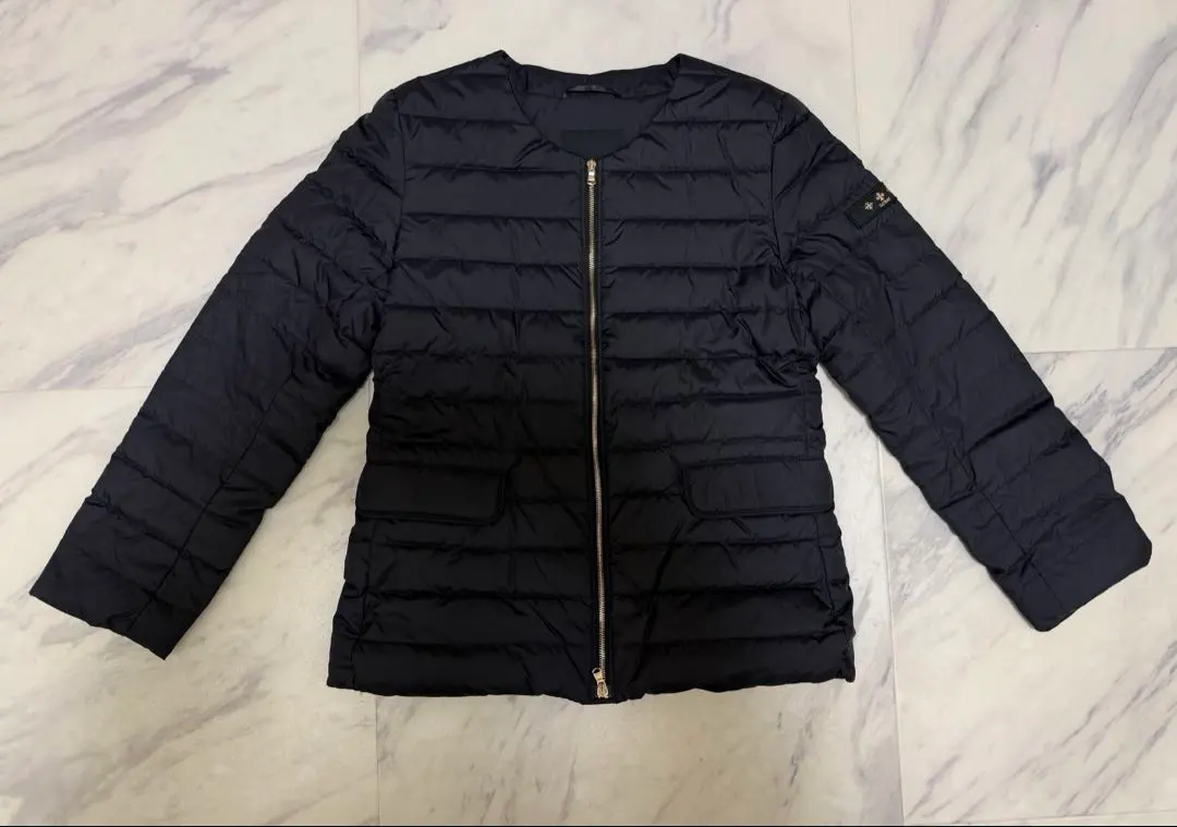 2026年最新】タトラス spinosaの人気アイテム - メルカリ