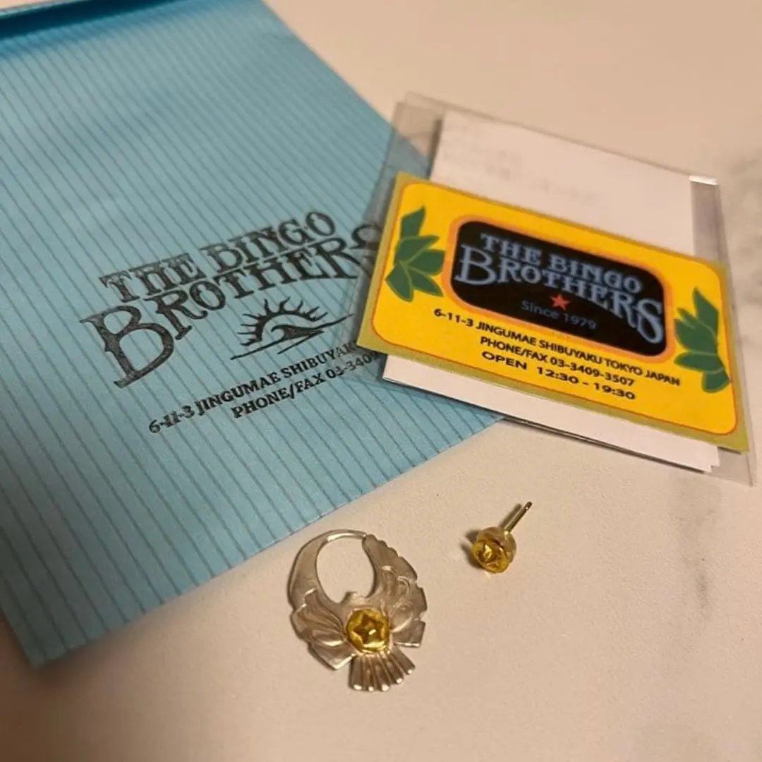 2026年最新】ビンゴブラザーズピアスの人気アイテム - メルカリ