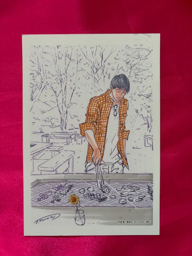 2026年最新】サマバレ ハガキの人気アイテム - メルカリ