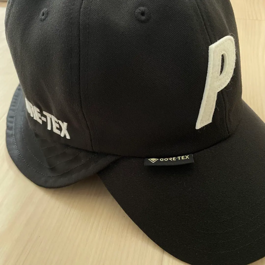 2026年最新】palace gore-tex capの人気アイテム - メルカリ