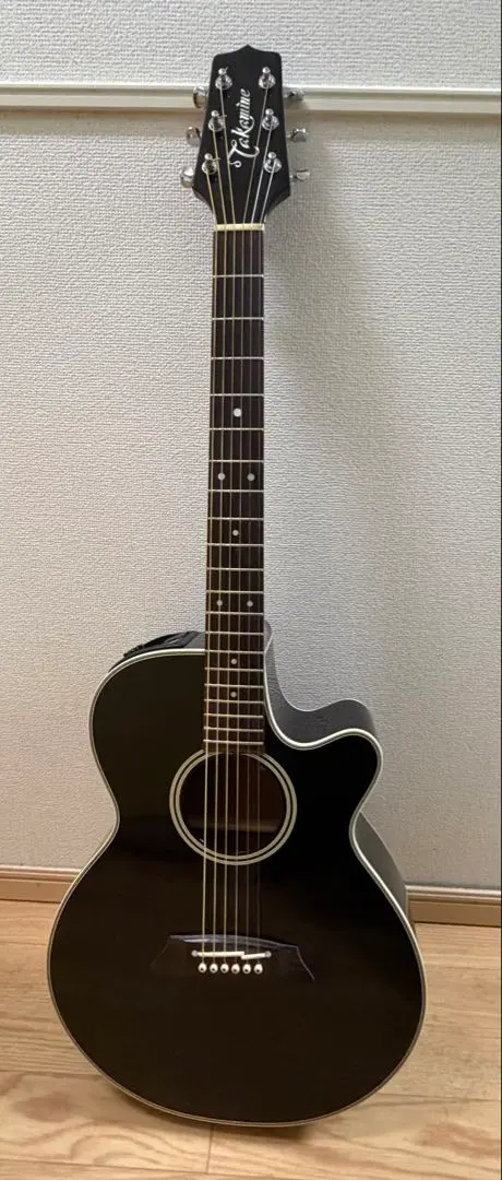2026年最新】takamine pt 106の人気アイテム - メルカリ