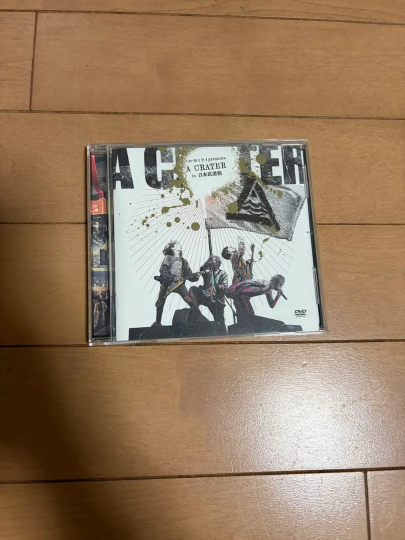 2026年最新】ハルカミライ 武道館 dvdの人気アイテム - メルカリ