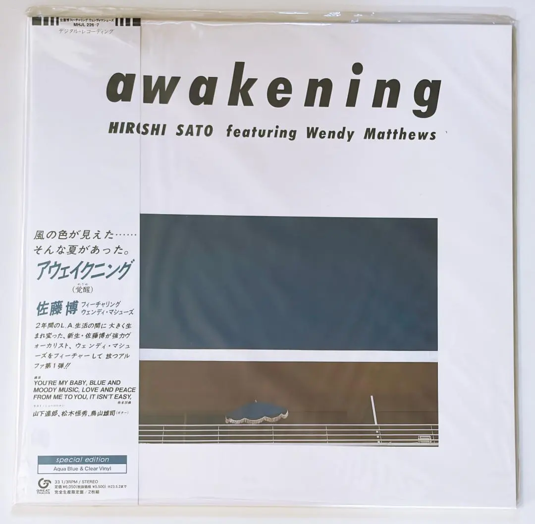 2026年最新】佐藤博awakeningの人気アイテム - メルカリ