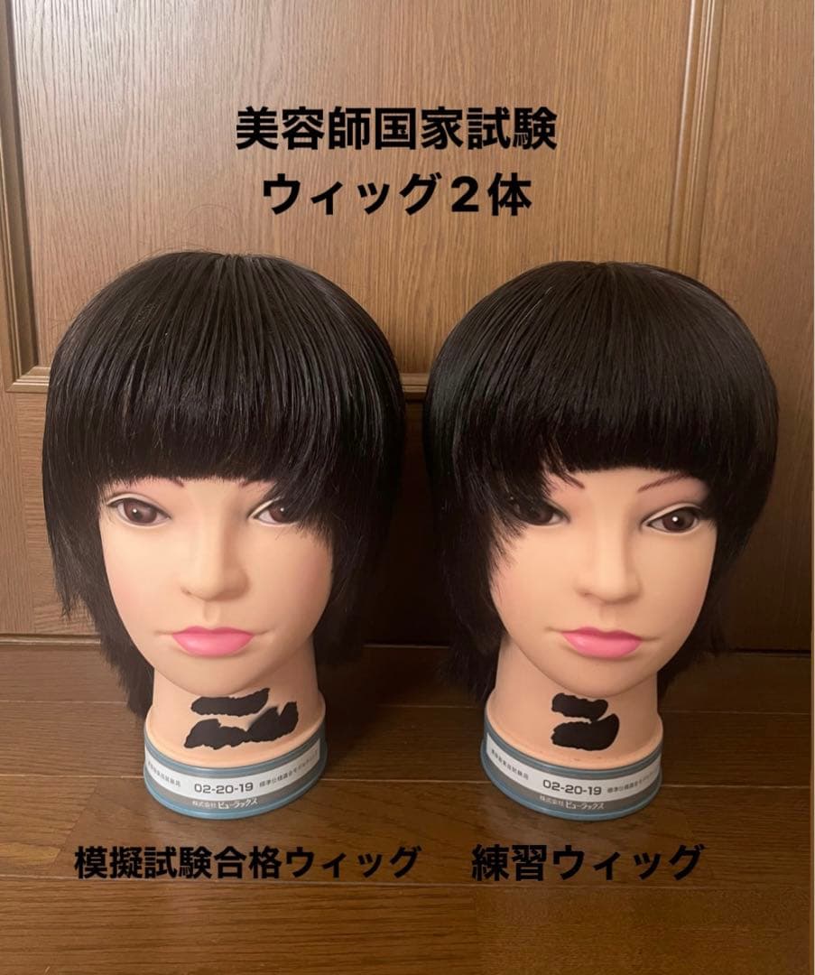 理容師 美容師 国家試験カットウィッグ カット済みウィッグ 2体 - メルカリ