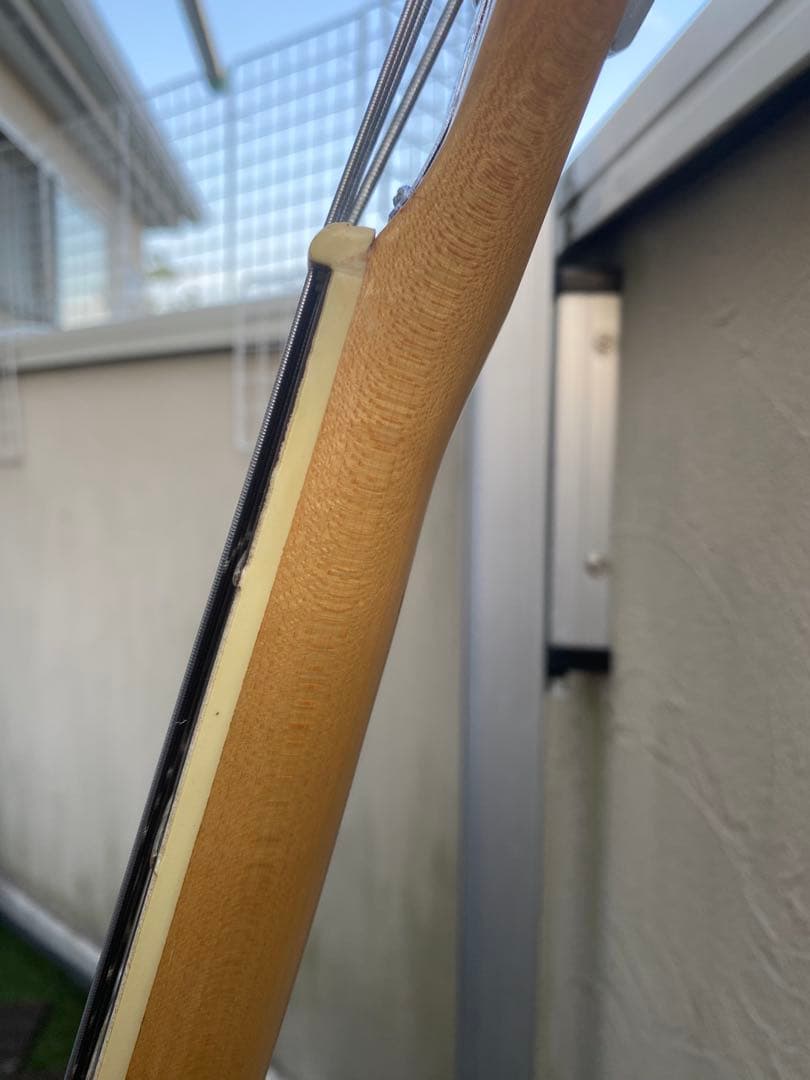 tritmph(トリンプ/エレキベース/ビザール/日本製)