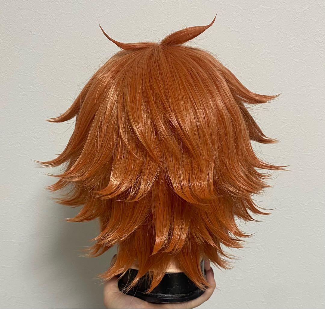ツイステ エース・トラッポラ コスプレ ウィッグ - メルカリ