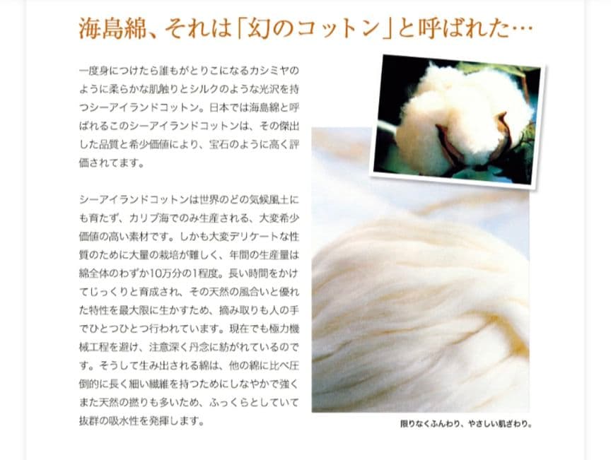 新品☆UCHINO☆高級☆高価☆海島綿☆無撚糸☆豪華☆肉厚☆超大判☆バスタオル