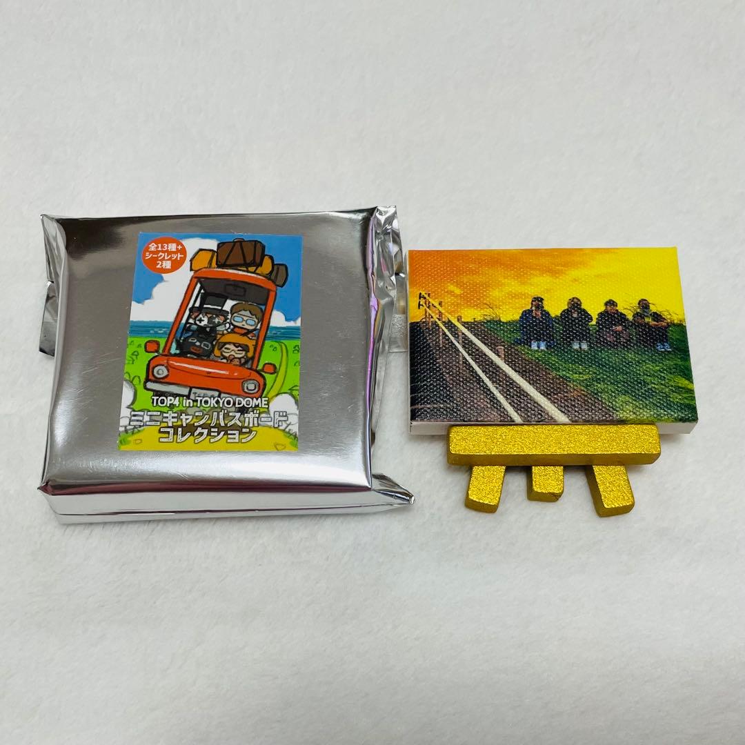 TOP4 ミニキャンバスボードコレクション（異物混入） - メルカリ
