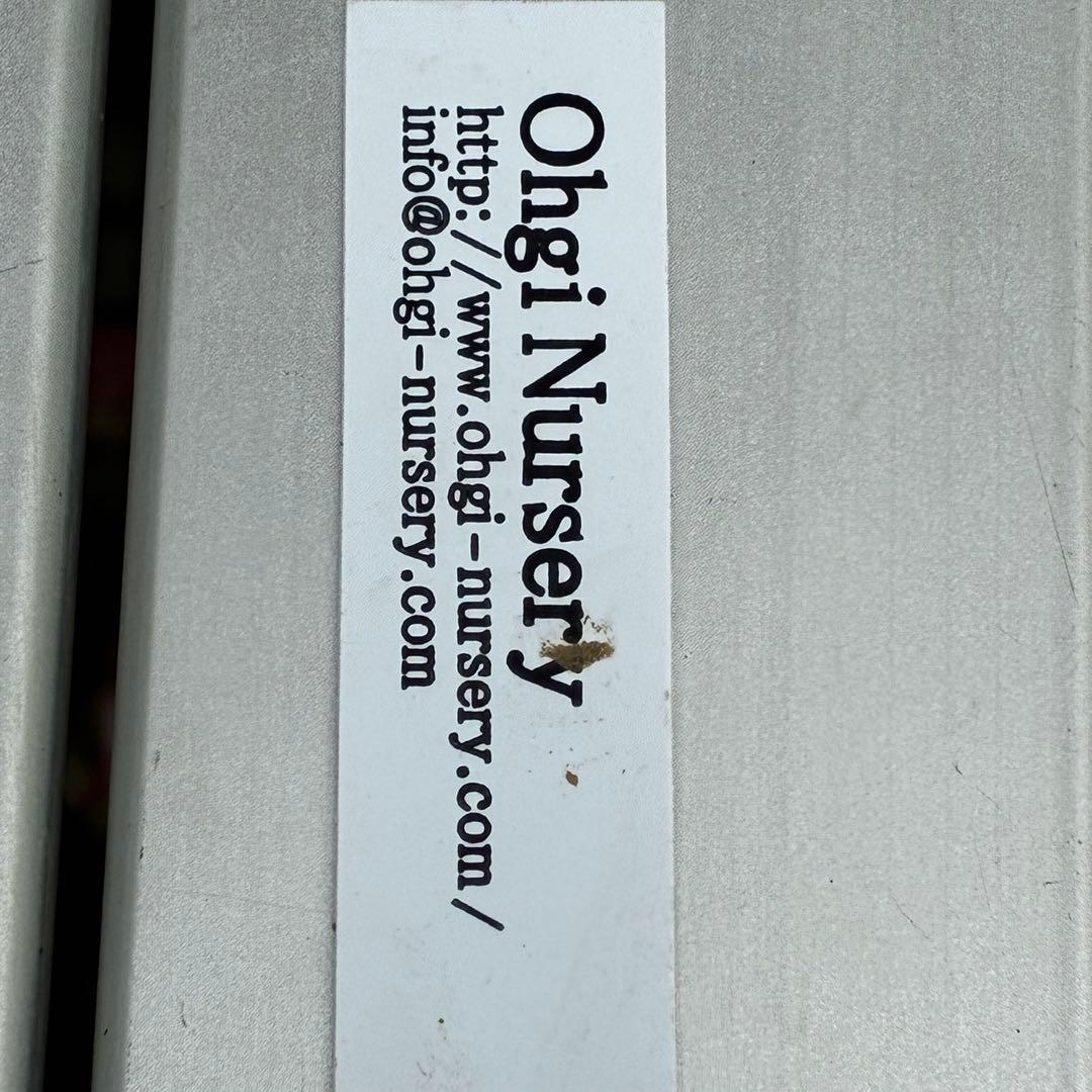 u*0様 541☘️蕾花タグ付☘️極上⭐️SD⭐️蜃気楼交配⭐️小輪⭐️紅赤/ゴ