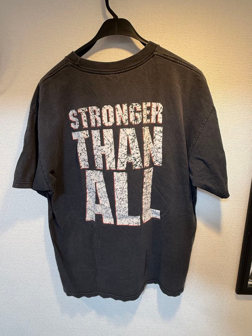 Aro様専用】00s PANTERA ヴィンテージ バンT あのちゃん着 - メルカリ