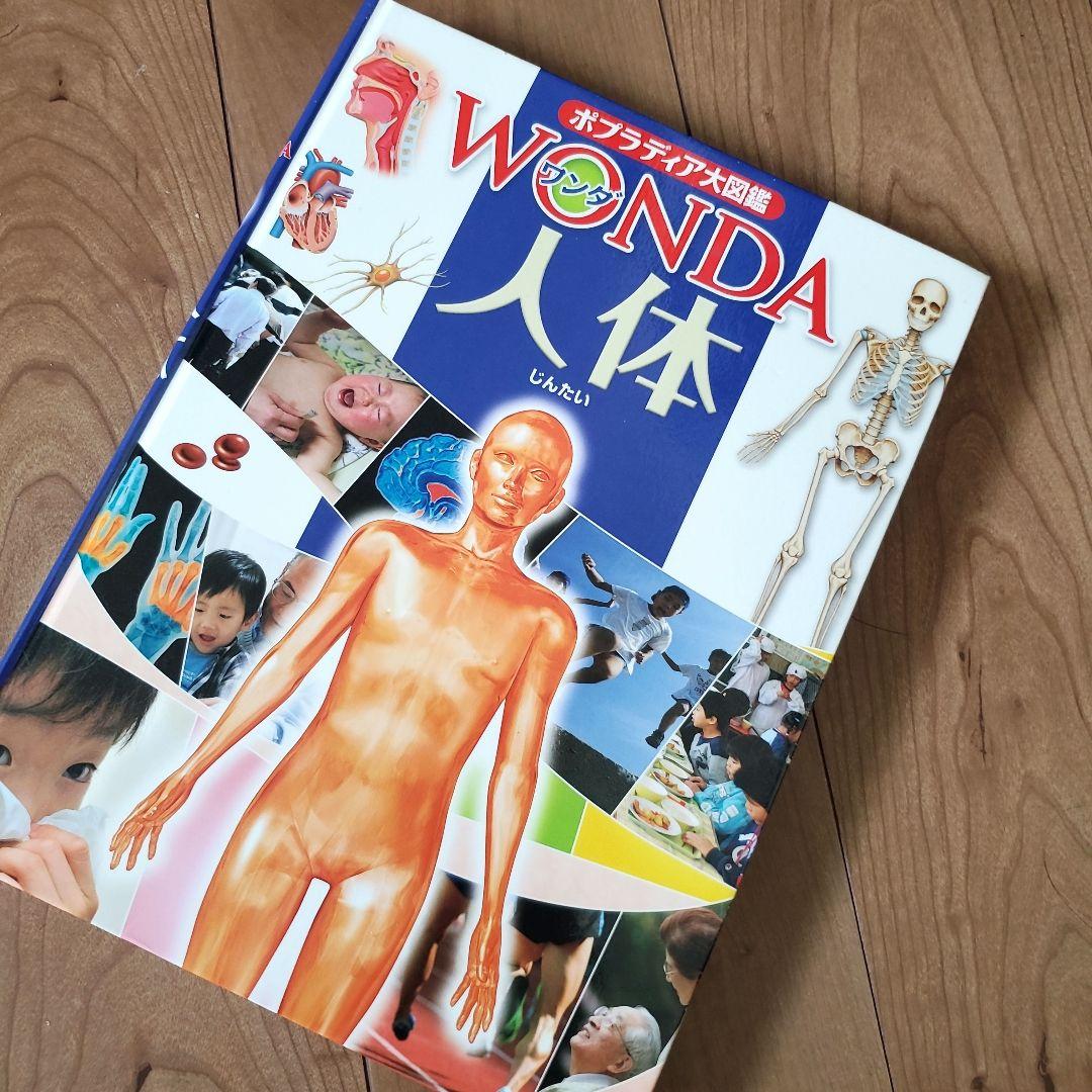 【最終値下げ】男の子　絵本まとめ売り　乗り物絵本多　ミッケ！せんろはつづく