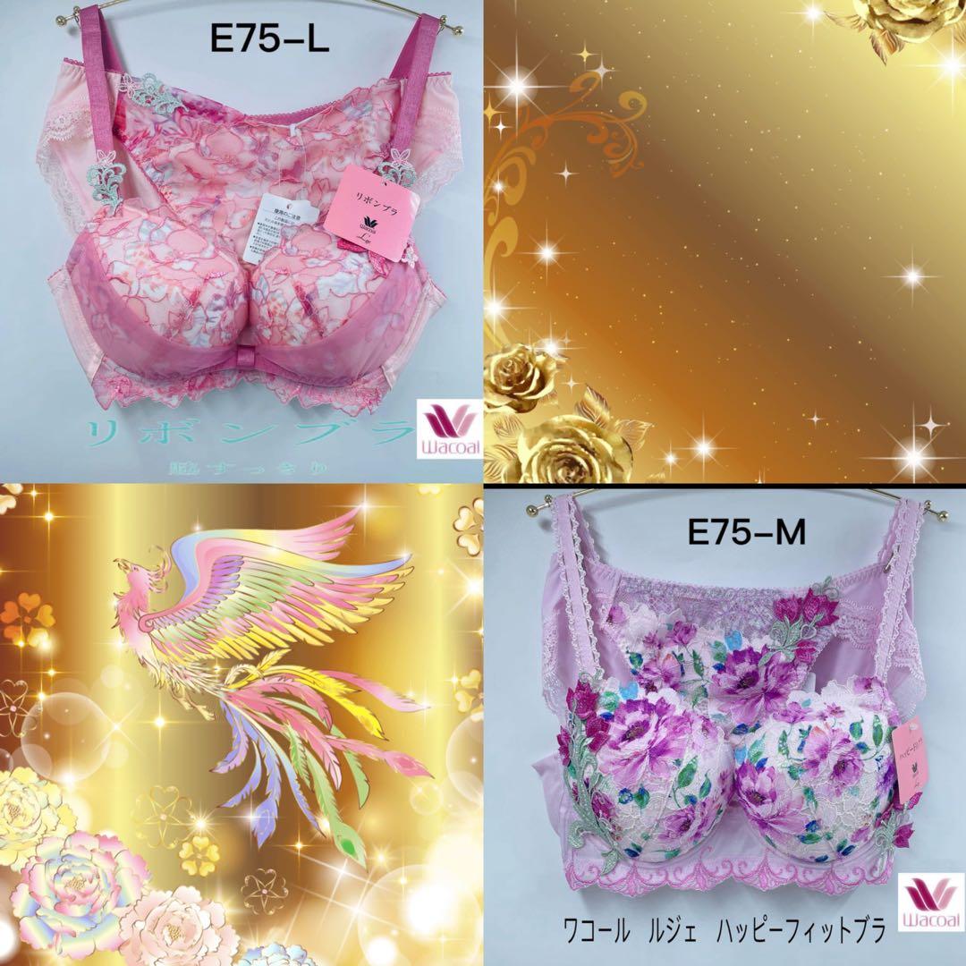 WACOAL《ルジェ》リボンブラブラジャー&ショーツセットE75L 大人気
